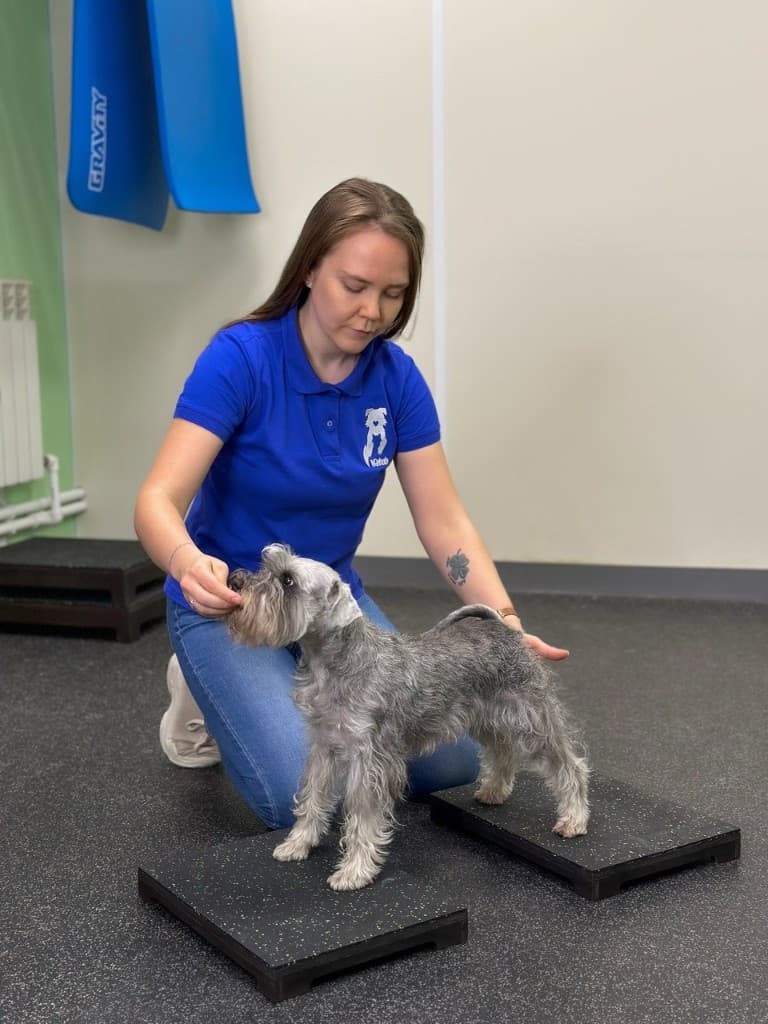 Кристина Шиш: догфитнес и балансировочные платформы с цвергшнауцером